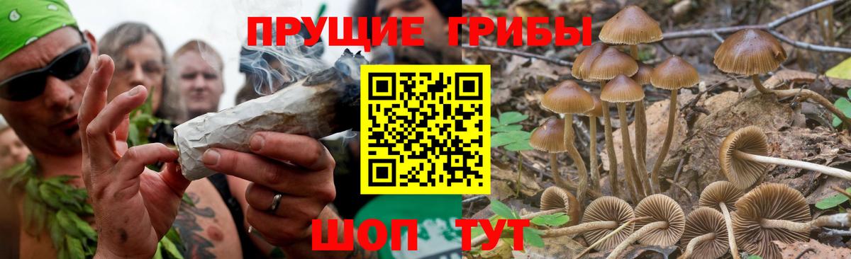 Галлюциногенные грибы MAGIC MUSHROOMS Усолье-Сибирское
