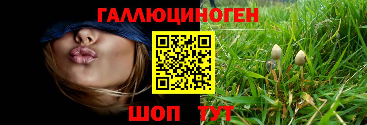 как найти   Вход с VPN  Усолье-Сибирское  Галлюциногенные грибы GOLDEN TEACHER 